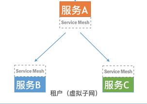 技術(shù)解讀 Rainbond ServiceMesh微服務(wù)架構(gòu)與開(kāi)源PaaS平臺(tái)的數(shù)據(jù)處理與存儲(chǔ)支持